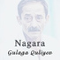 Gulaga Quliyev, Elman Namazoglu