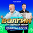 Дмитрий Волгин, группа "Хорошая песня"