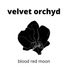 Velvet Orchyd