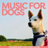 RelaxMyDog, Dog Music Dreams