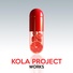 Kola Project