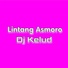 DJ Kelud