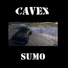 Cavex