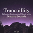 Tranquil Music Sound of Nature & Asian Zen Spa Music Meditation