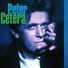 Peter Cetera feat. Amy Grant