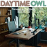 Daytime Owl