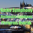 Radio Symphony Orchestra Ljubljana