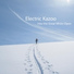 Electric Kazoo
