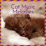 Relax My Cat, Cat Music Zone