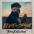 Elvie Shane feat. Tenille Townes