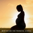 Nature Music Pregnancy Academy, Prenatal Yoga Music Ensemble