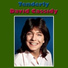 David Cassidy