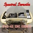 Spectral Sevenths, Stacy Puckett and the One Man Poverty Band, Electronic