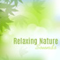 Meditation Spa, Nature Sounds, Relaxing Music Therapy