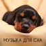 Музыка для медитации успокаивающая