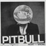 Pitbull, AYYBO, ero808