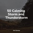Sounds Of Nature : Thunderstorm, Regen, Calming Sounds