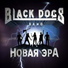 Black Dogs Band