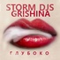 Storm DJs, Grishina