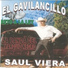 Saul Viera El Gavilancillo