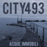 City 493