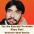 Shahenshah Bacha