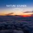Nature Sounds Collective, Total Relax Music Ambient