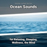 Natural Sounds, Ocean Sounds, Nature Sounds