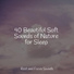 Study Music, Music for Absolute Sleep, Calm shores