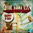 Sonic Surf City