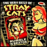 Stray Cats