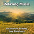 Relaxation Music, Relaxing Music, Yoga