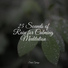 nature & Sounds Background, Ready Baby Music!, Relaxation Personal Guru