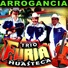Trio Furia Huasteca