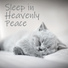 Sleeping Music Zone, Heaven on Earth Instrumental Universe, Easy Sleep Music