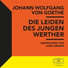 Johann Wolfgang von Goethe, Hans Kremer