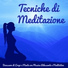 Meditation & Spa Music & Daily Meditation Music Society