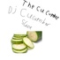 Dj Cucumber Slice