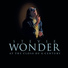 ♫ Stevie Wonder ~ 1985 ~ Love Songs: 20 Classic Hits