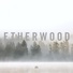 Etherwood ft. FEELS