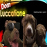 Dom Luccatione