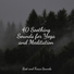 Healing Sounds for Deep Sleep and Relaxation, Shakuhachi Sakano, Classical Lullabies