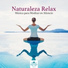 Sonidos de la Naturaleza Relax & Musicas de Piano Masters