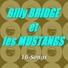 Billy Bridge