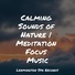 Meditation Awareness, White Noise Sound Garden, Namaste Healing Yoga
