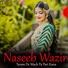 Naseeb Wazir
