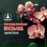 Mindfulness Meditation Music Spa Maestro