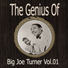 Big Joe Turner