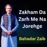 Bahadar Zaib