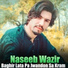 Naseeb Wazir